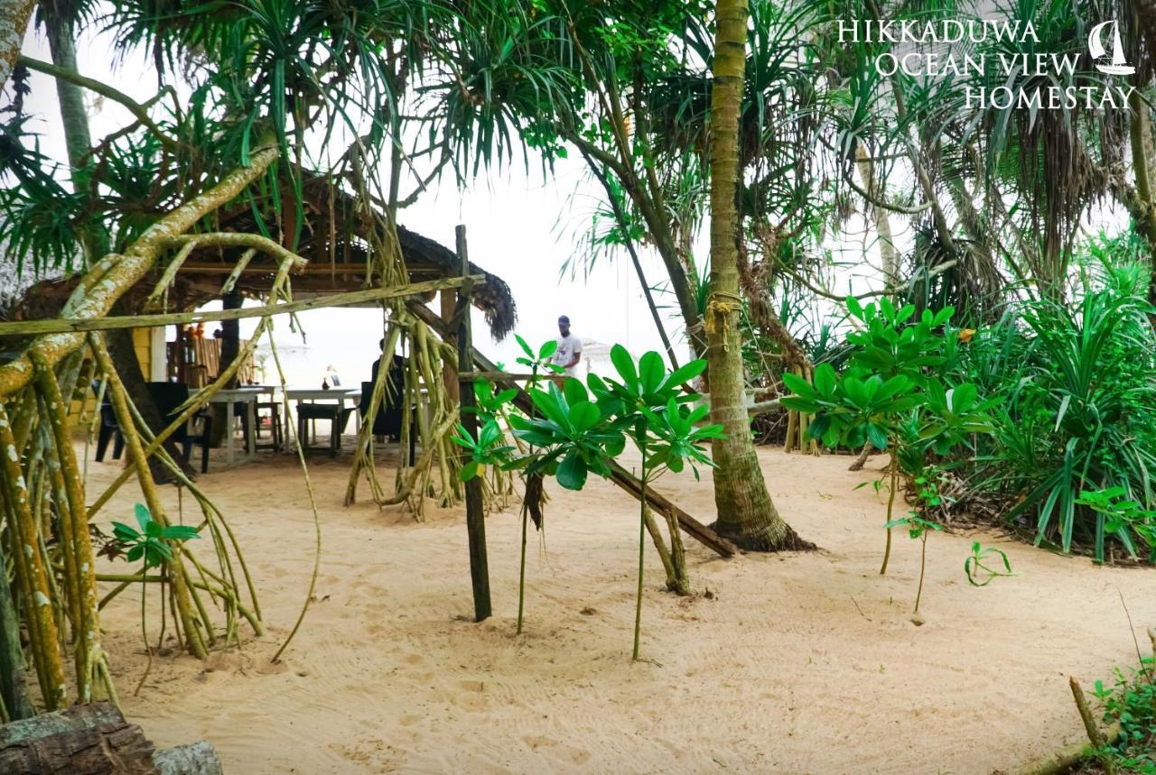 Hikkaduwa Ocean View Homestay Extérieur photo
