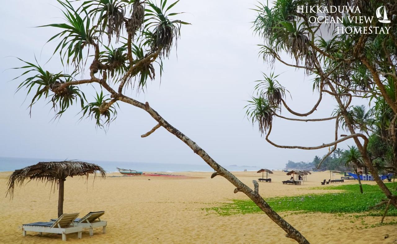 Hikkaduwa Ocean View Homestay Extérieur photo